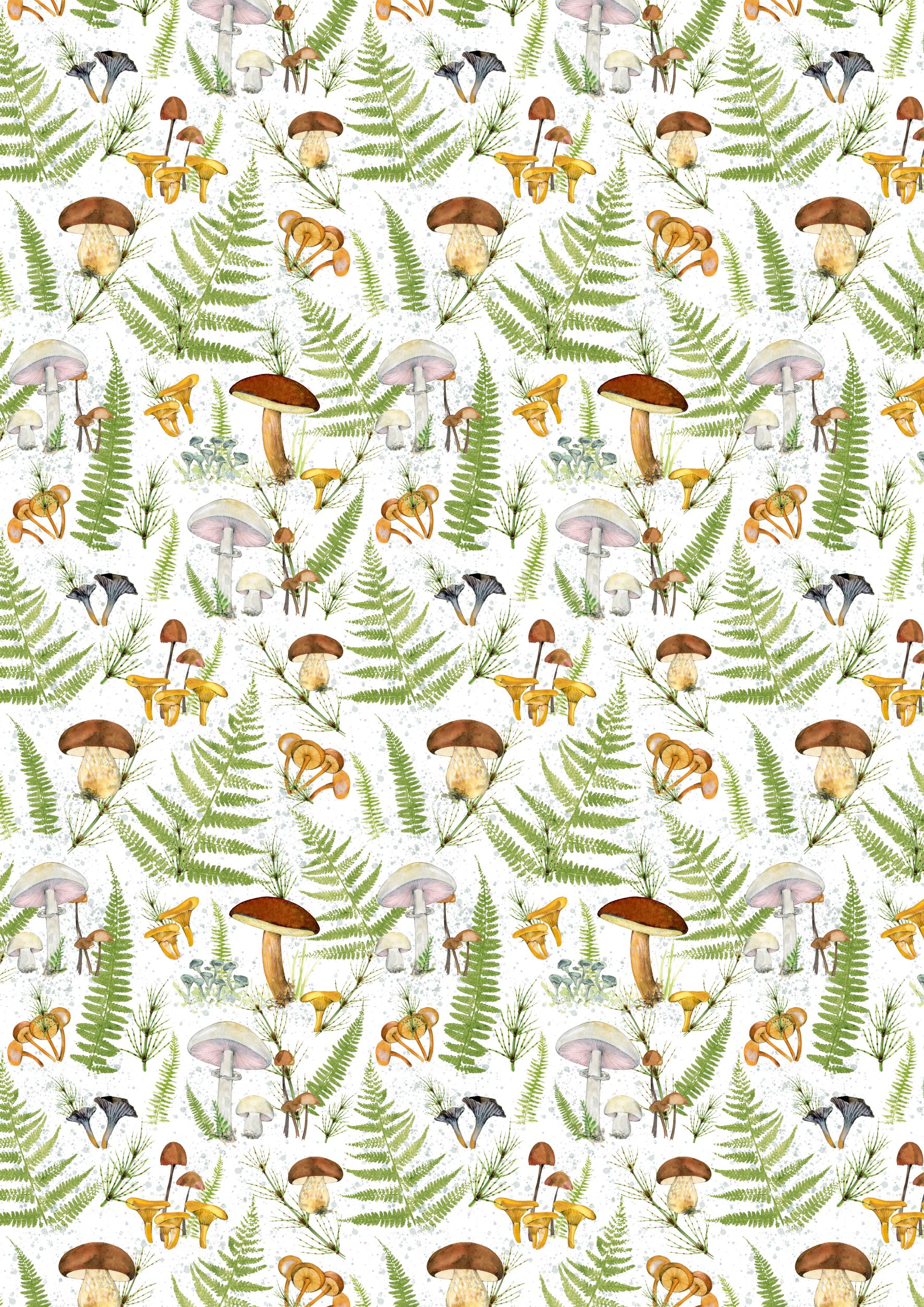 3523-831Pilze und Farne