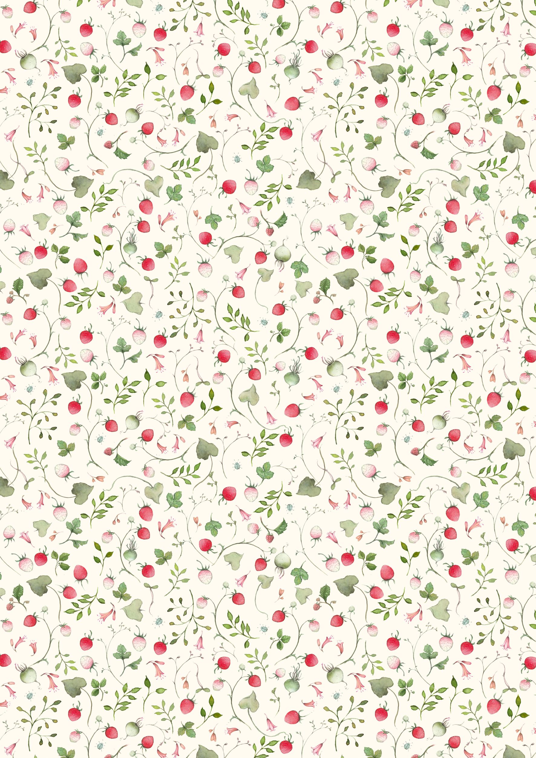 3523-899 Erdbeerfeld(1)