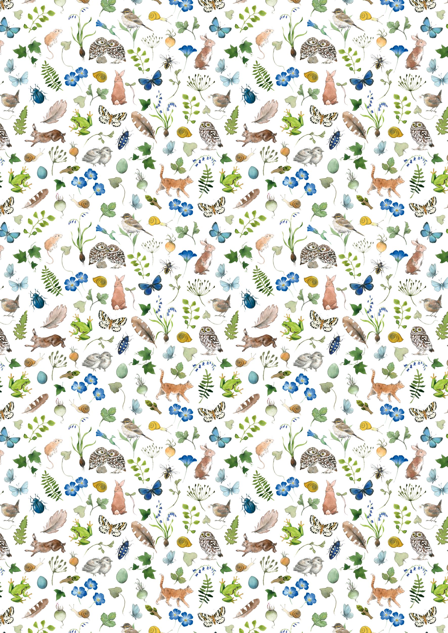 3523-930 Flora und Fauna