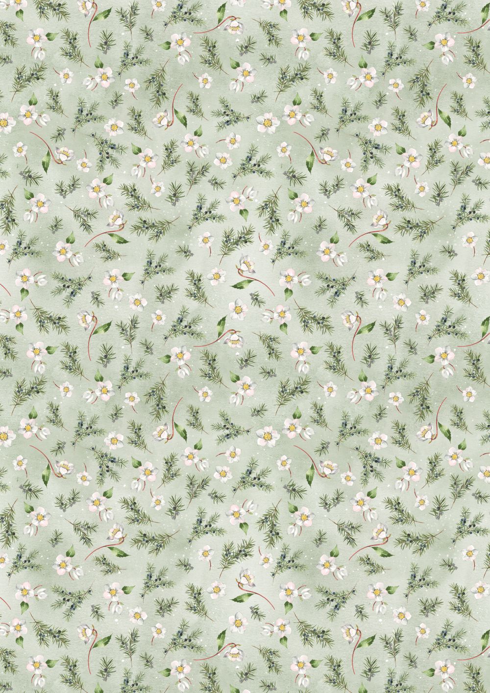 3523-976 Mini-Christrose