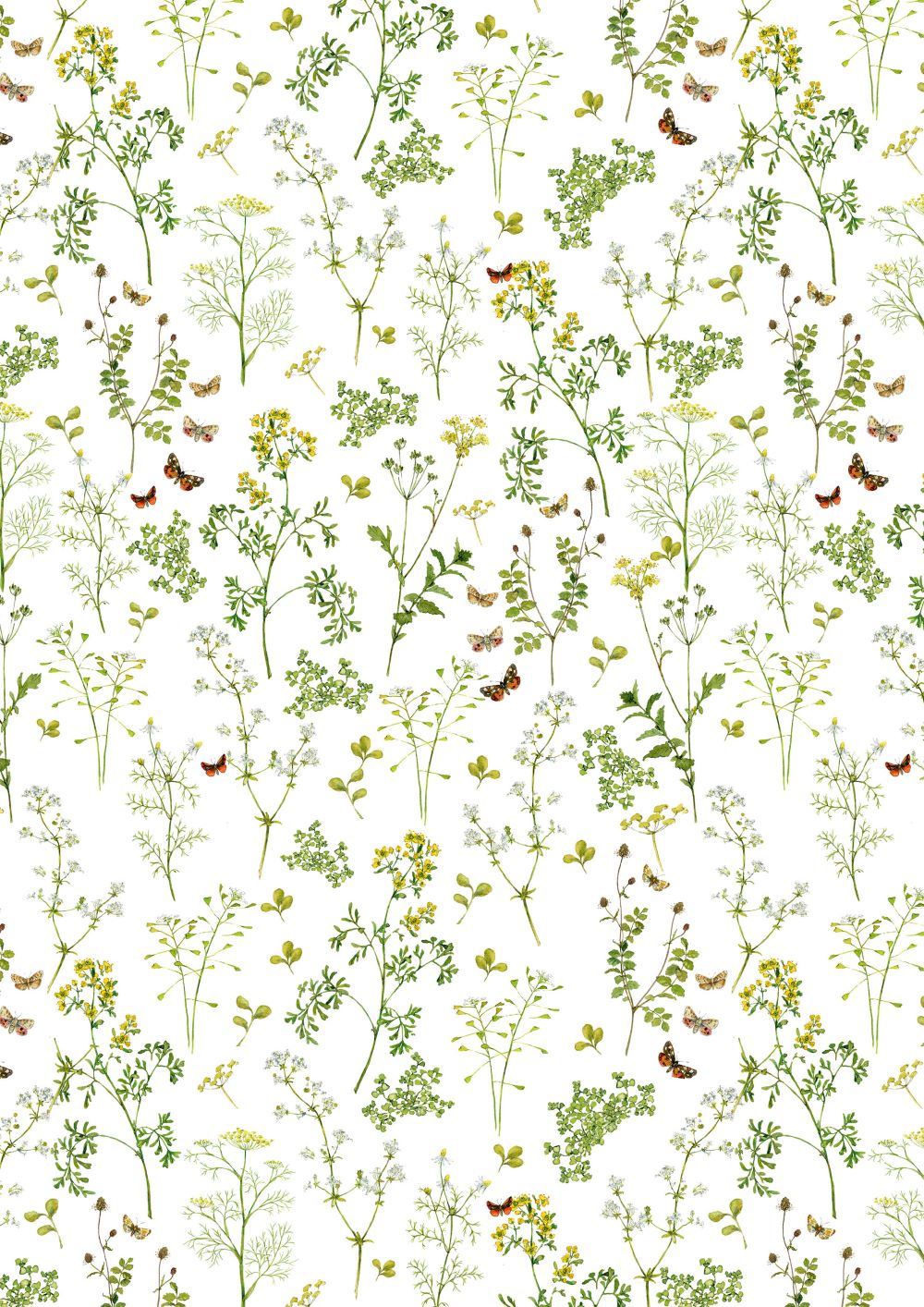 3523-754 Kräuter Wiese acufactum acufactum Baumwollstoff