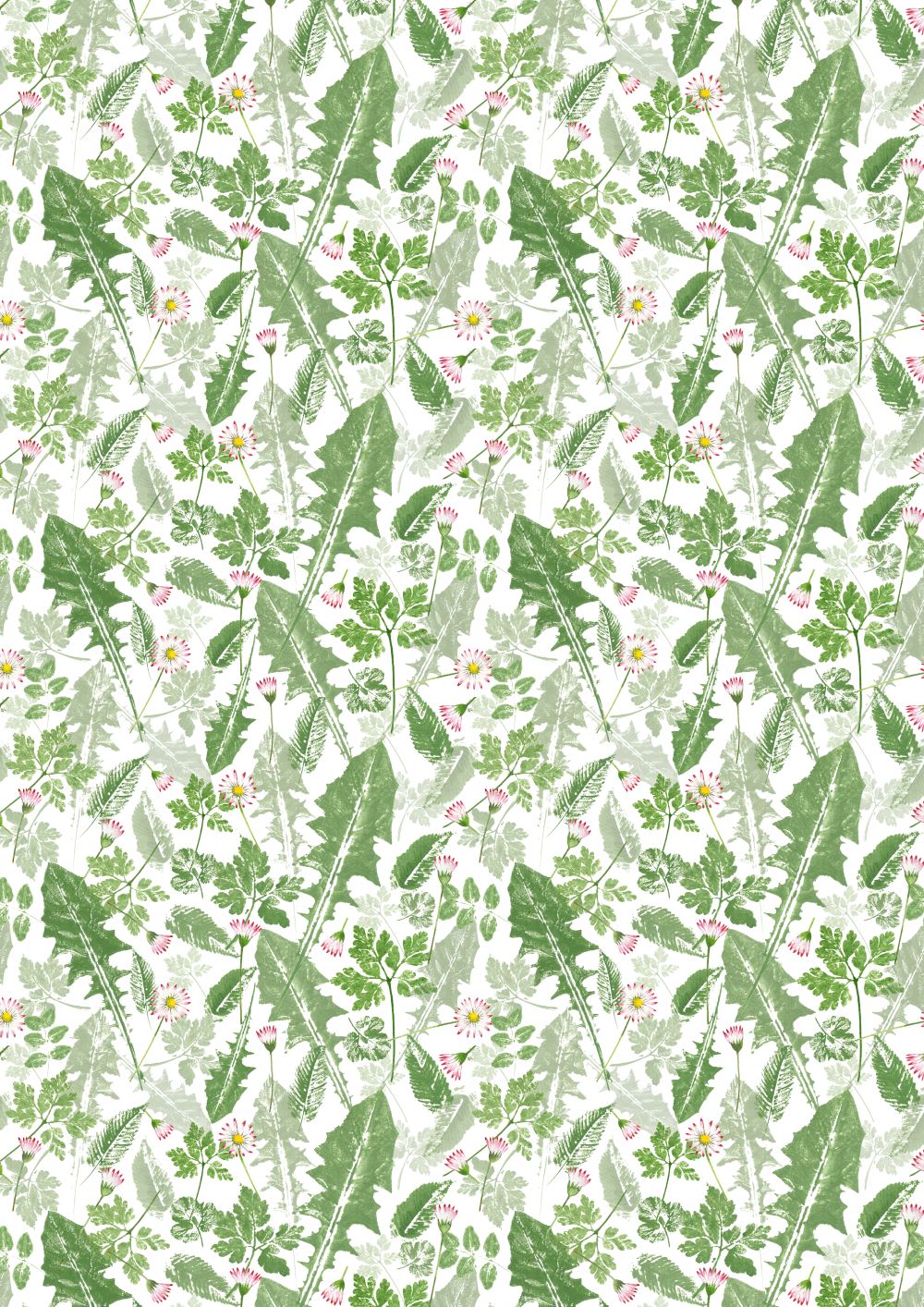 3523-794 Löwenzahn und Bellis acufactum acufactum Baumwollstoff